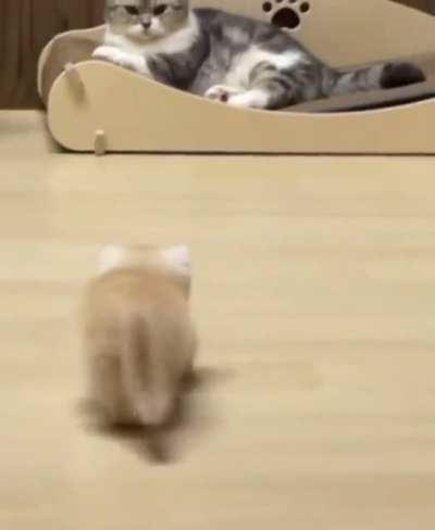 Hips don't lie ❤️