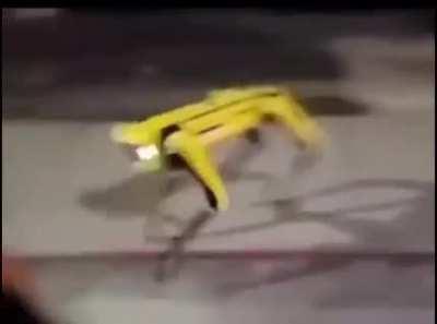 Hold up Boston Dynamics robot