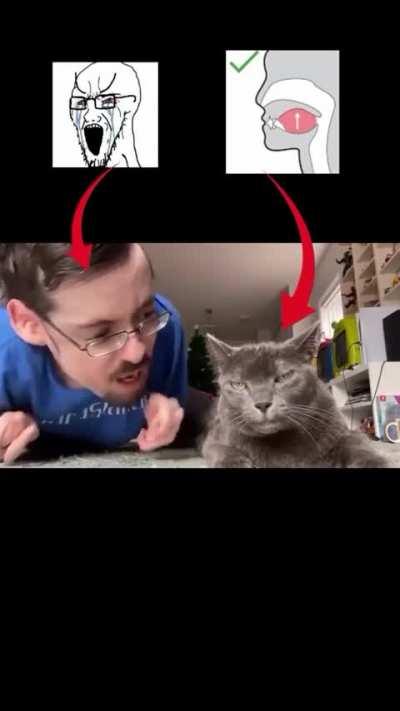 looksmaxxing grindset