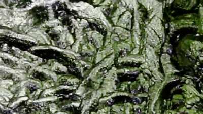 Moldavite 8.5 Grams - Besednice, Czech Republic - ✨On Spring Sale✨