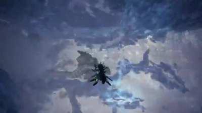 Dude just straight up impaled Barioth