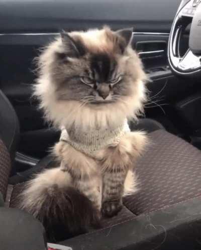 When your mom picks out your clothes.