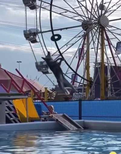 Form 10/10, Mindset 12/10 Execution 1/10