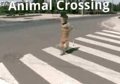 Something like that i guess, haven't played it