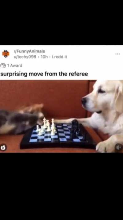 Completely valid move 👽