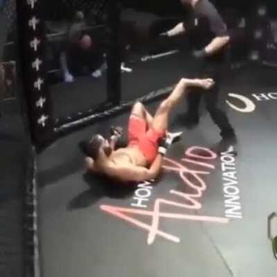 Say hello to my little shin.