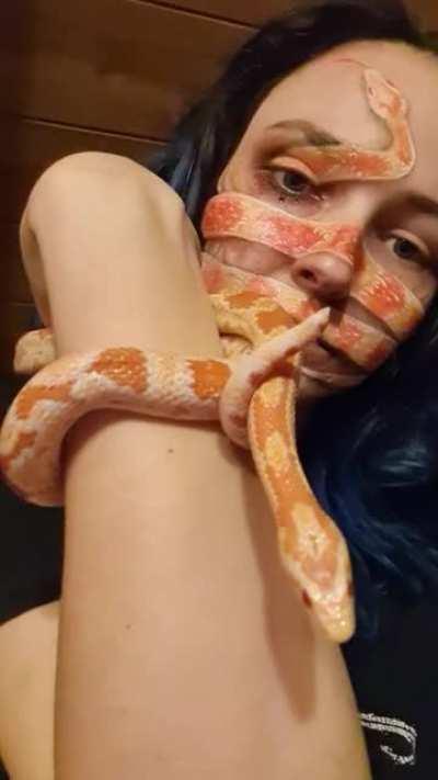 People told me to put my cornsnake face painting here 🔝