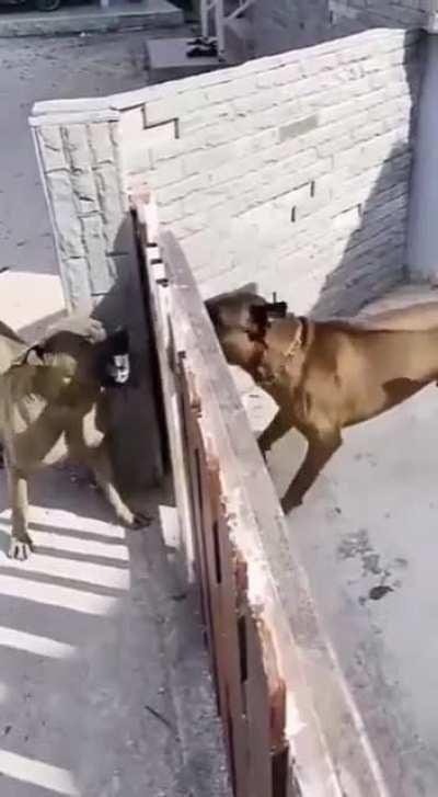 What jerk this gate is!