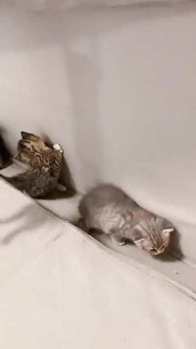 Found the criminal’s lair