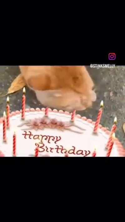 Wunk didn't get invited to the party