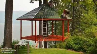 Building a tree house (6 month timelapse)