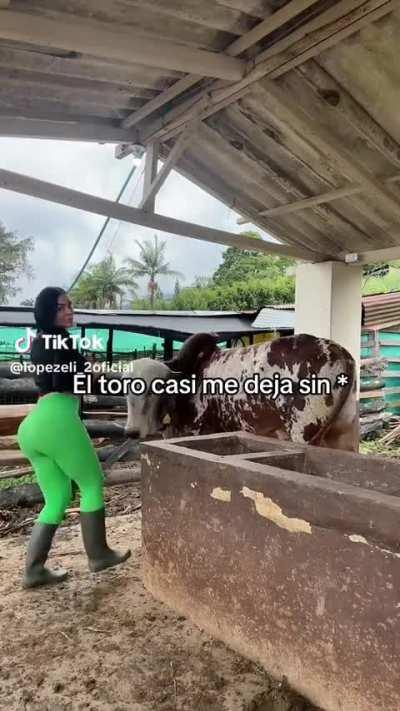 Do you think the horn entered? Y/N