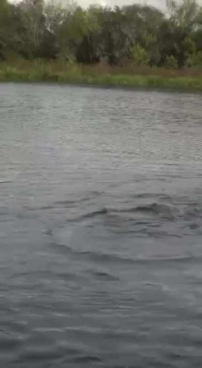 Man deserves every scream for this fish