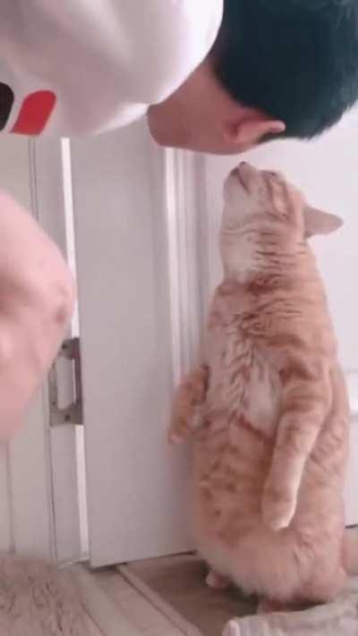 Getting kisses before leaving the house