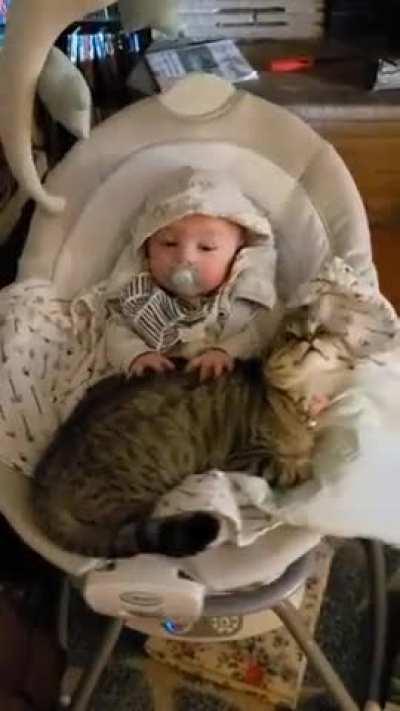 Baby making biscuits on a cat