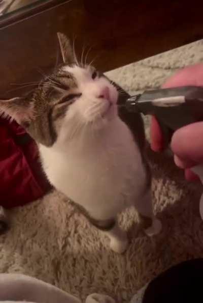 HMC while I quench my thirst