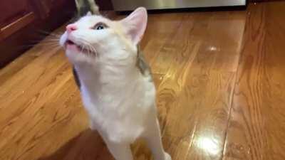 She does not like my whistling. (Either that or she's singing along.)