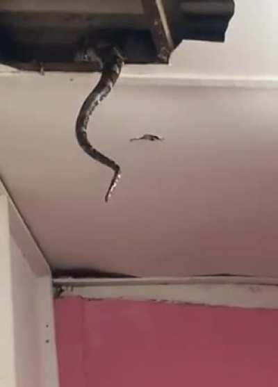 I would've gotten the hell outta there!