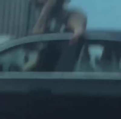 Woman twerks on roof of a car while the car is driving on a Miami highway