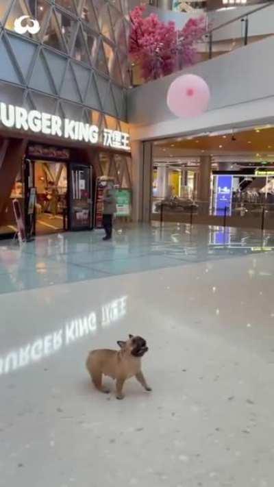 This is what true happiness looks like...