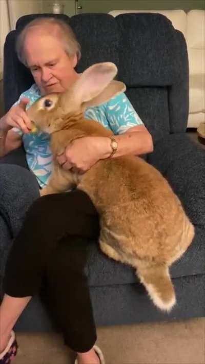 Big Baby Bun was gradmom's favorite grandchild.