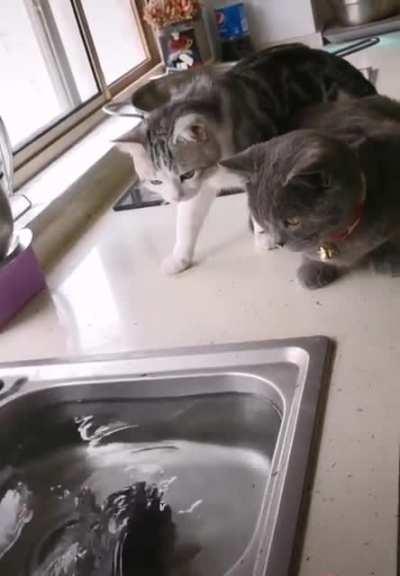 The tables have turned