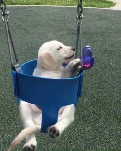 This is fine, please bring me treats from time to time