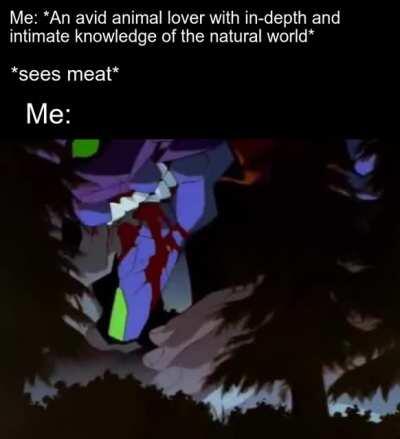 [Neon Genesis Evangelion] Best scene in the series.