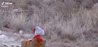 Guess who’s behind the blanket