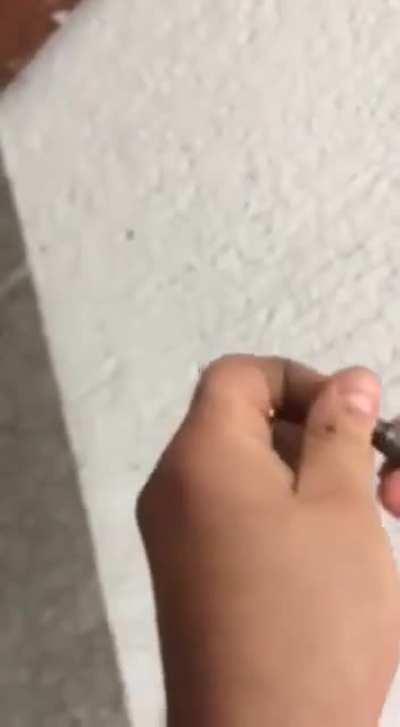 they told me this was the place for this