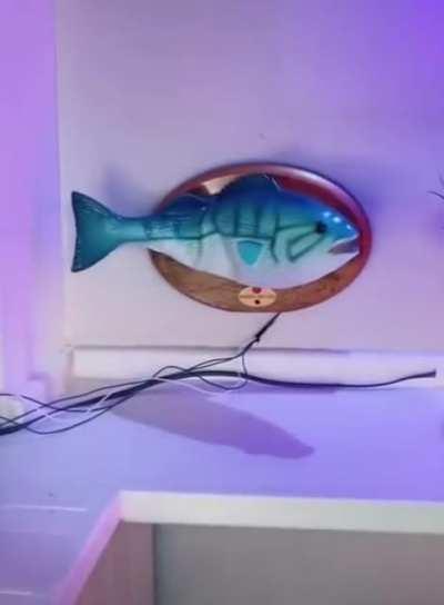 Honestly, I would buy this