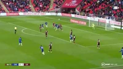 schmeichel mental save