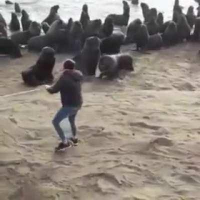 Amazing guy comes to the rescue of Sea Lion with tire stuck around its neck