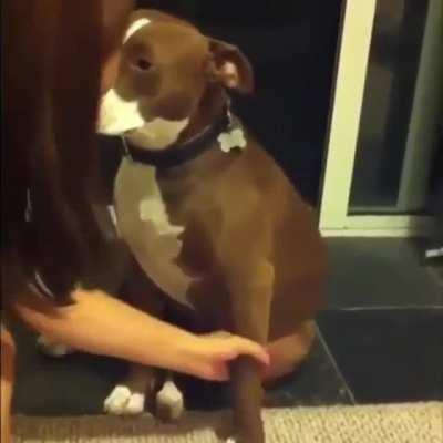 And the Oscar goes to...