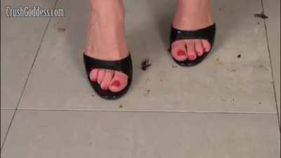 Bug crush in the mules and anklets goddess