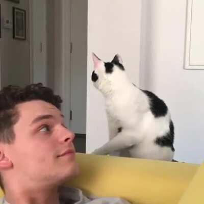 The derpiest of the derps