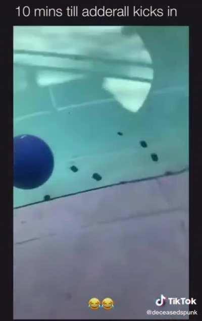 He sent that cockroach flying