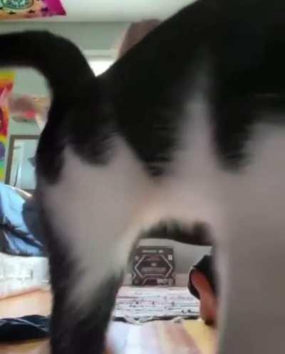 Do not look at her, look at the pussy