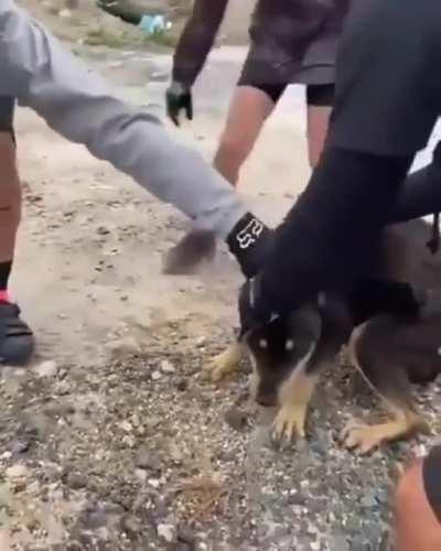 This makes me so happy to see! I also love how thankful he is