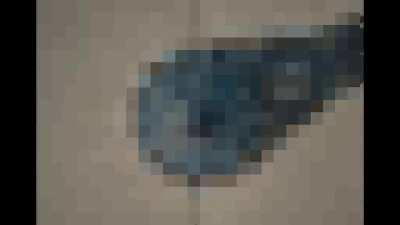 Part of a Dua Lipa video completely beta safe 🥵🥵🥵 get her blocked everywhere!