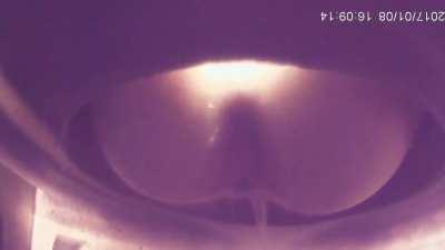 POV: You're a Porta Potty at an Art Fair