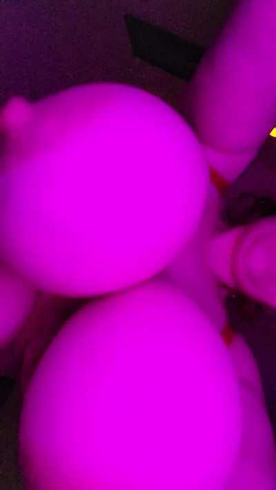 I'm back! Here's some pregnant titties for you all (links in bio) www.onlyfans.com/gigiouija