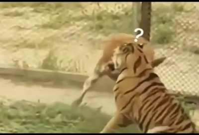 Теперь моя очередь