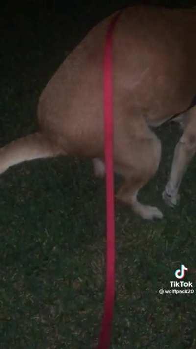 Absolute Unit of a Fart 😂