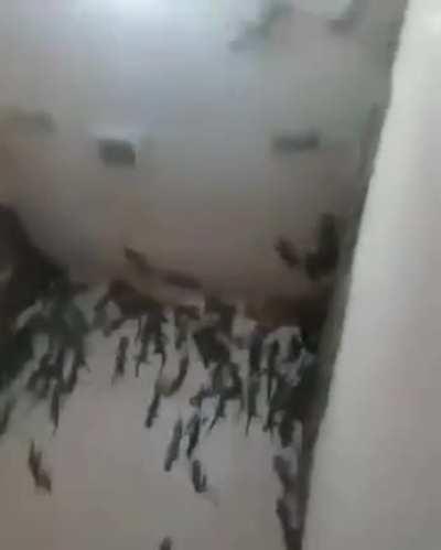 cursed_Washroom