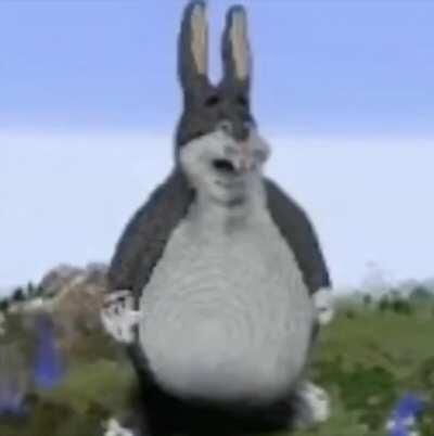 Big chungus😱