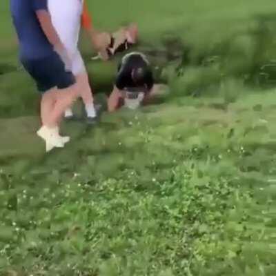 Attempting to pole vault a ditch. WCGW