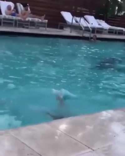 No boobs were hurt in this video.
