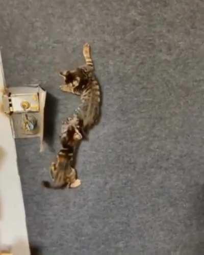 So geht das, Kleiner!