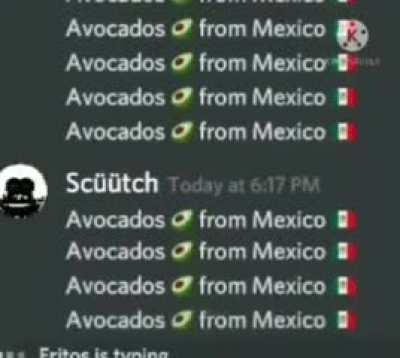 Avocados 🥑 from Mexico 🇲🇽